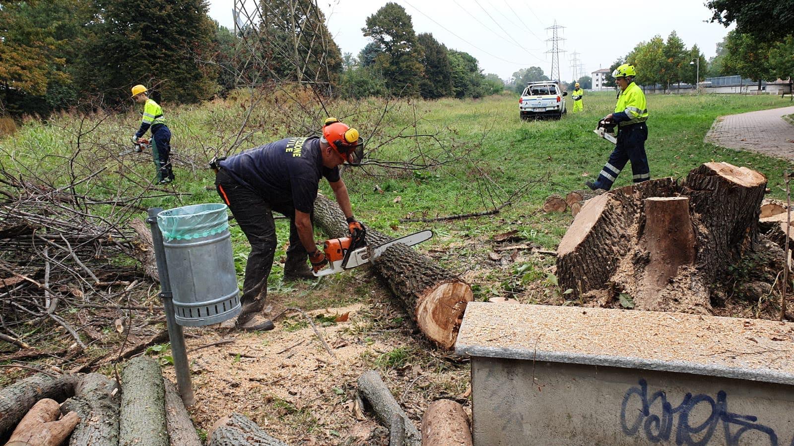 Protezione Civile Motosega Taglio alberi